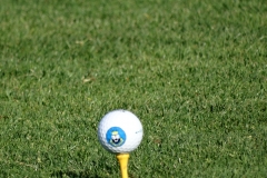 2015 Salt Lake Legends 4-Player Scramble